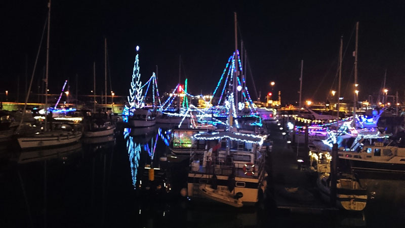 Ramsgate Harbour Christmas Lights - Gallery Image